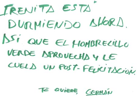 Incursión nocturna y alevosa en el blog íntimo de mi Irenita...